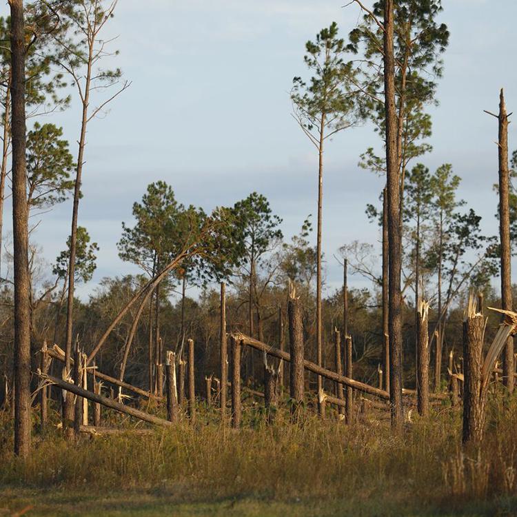 UGA Economist Believes Georgia Farmers Need Financial Relief Immediately